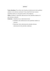 Administracinio teisės pažeidimo subjektai 3 puslapis