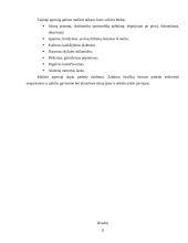 Agresyvaus elgesio teorijos 11 puslapis