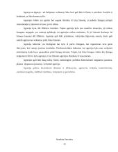 Agresyvaus elgesio teorijos 12 puslapis