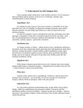 Akių kontaktas 8 puslapis