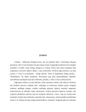 Alkoholizmo problema 2 puslapis