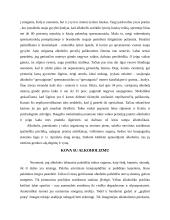 Alkoholizmo problema 15 puslapis