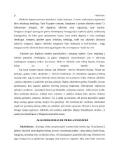 Alkoholizmo problema 4 puslapis