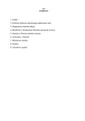 Antikinės estetikos teorijos 2 puslapis