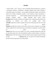 Antikinės estetikos teorijos 14 puslapis