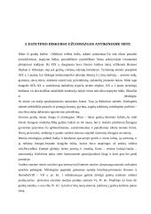 Antikinės estetikos teorijos 6 puslapis