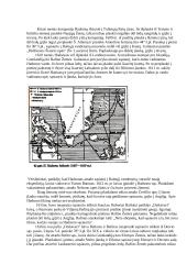 Arkties vakarinės dalies tyrinėjimai 4 puslapis