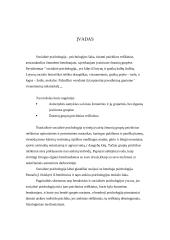 Asmenybės adaptacija 2 puslapis