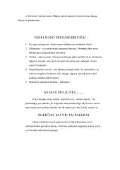 Asmenybės adaptacija 6 puslapis