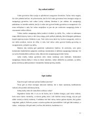 Asmenybės raida vaikystėje 11 puslapis