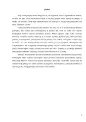 Asmenybės raida vaikystėje 3 puslapis