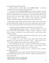 Asmenybės ir grupės santykių problema 13 puslapis