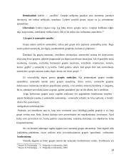 Asmenybės ir grupės santykių problema 14 puslapis