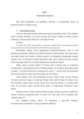 Asmenybės sampratos teorijos bei faktoriai 3 puslapis