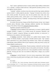 Asmenybės sampratos teorijos bei faktoriai 4 puslapis