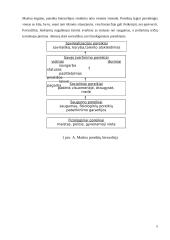 Asmenybės sampratos teorijos bei faktoriai 8 puslapis