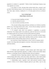 Savo asmenybės vertinimas 6 puslapis