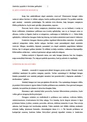 Atminties ypatybės ir lavinimo galimybės 2 puslapis
