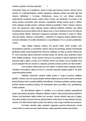 Atminties ypatybės ir lavinimo galimybės 4 puslapis