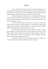 Atmintis ir amnezija 3 puslapis