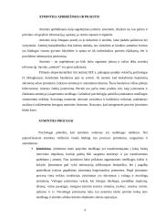 Atmintis ir amnezija 4 puslapis