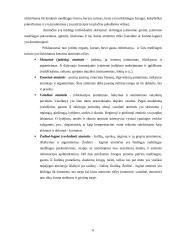 Atmintis ir amnezija 6 puslapis