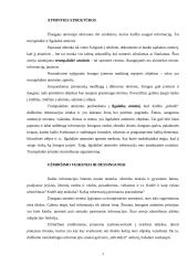 Atmintis ir amnezija 7 puslapis