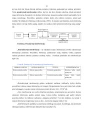 Atmintis ir atminties procesai 13 puslapis
