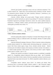 Atmintis ir atminties procesai 5 puslapis