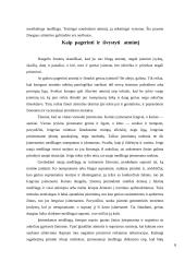 Atmintis ir jos lavinimas 8 puslapis