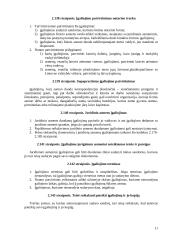 Atstovavimas. Bendrosios nuostatos 11 puslapis