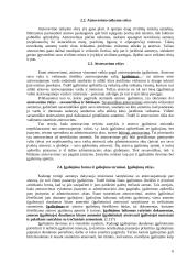 Atstovavimas. Bendrosios nuostatos 6 puslapis