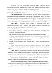 Autorių teisės įstatymai 2 puslapis