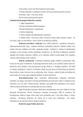 Bankroto etapai 5 puslapis