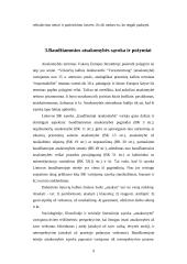 Baudžiamoji atsakomybės esmė 9 puslapis