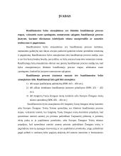 Baudžiamosios bylos atnaujinimas dėl tarptautinių institucijų sprendimo 2 puslapis