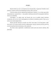 Baudžiamosios teisės sąvoka 2 puslapis