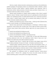 Baudžiamosios teisės sąvoka 4 puslapis
