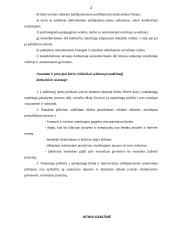 Bausmės atlikimas 2 puslapis