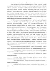 Bausmės atlikimas 3 puslapis