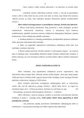 Bausmės atlikimas 4 puslapis