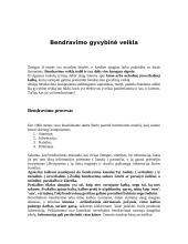 Bendravimas ir bendravimo gyvybinė veikla 2 puslapis