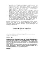 Bendravimas ir bendravimo gyvybinė veikla 7 puslapis