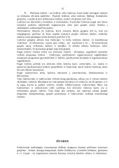 Bendravimas grupėse 13 puslapis