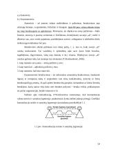 Bendravimo būdai ir lygiai 14 puslapis