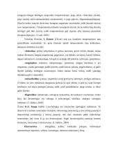 Bendravimo psichologija, temperamentas 11 puslapis