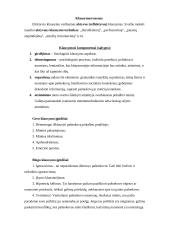 Bendravimo svarba žmonių gyvenime 6 puslapis
