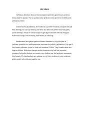 Bendravimo svarba žmonių gyvenime 10 puslapis