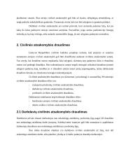 Bendrosios civilinės atsakomybės draudimas 2 puslapis