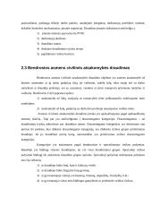 Bendrosios civilinės atsakomybės draudimas 4 puslapis
